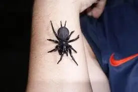 curiosidades