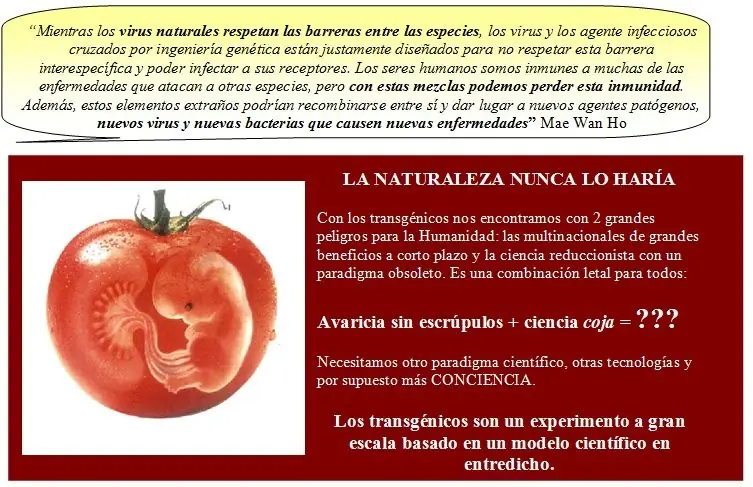 consecuencias