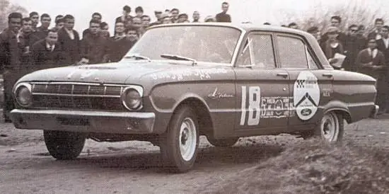 falcon