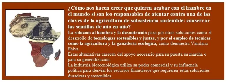 alimentos