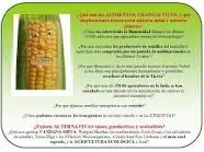 alimentacion transgenica y sus consecuencias