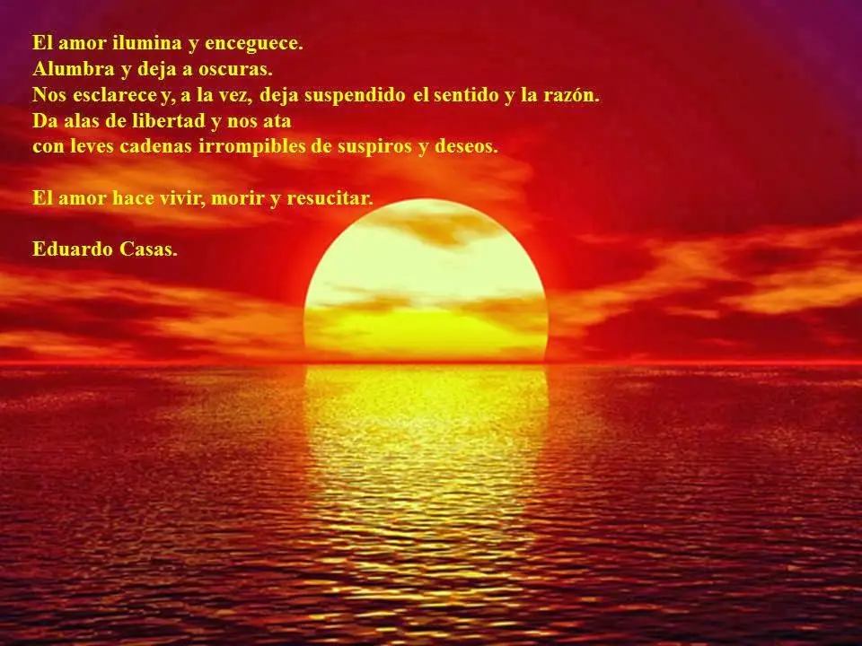 felicidad
