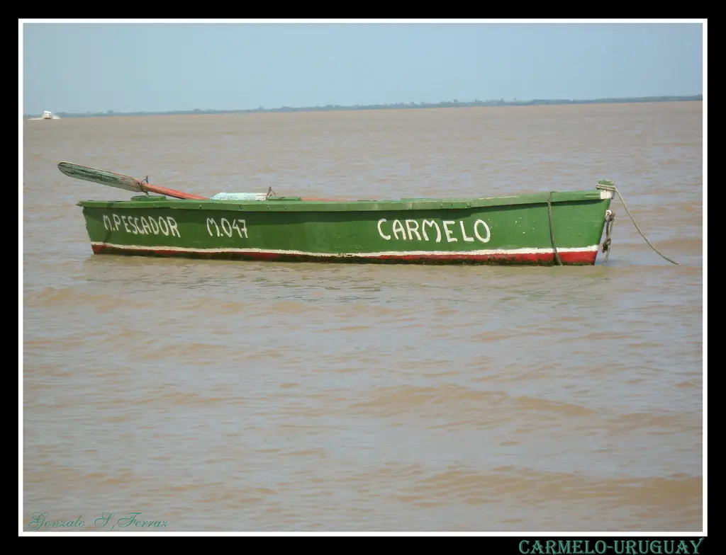 Carlemo - Colonia
