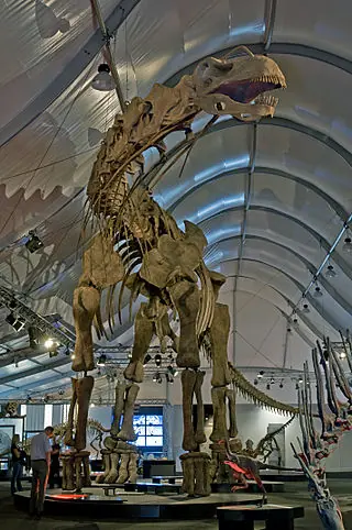 argentinosaurio