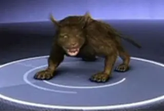 Top 10 Animales Mitológicos (Crípticos)