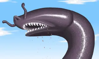 raros