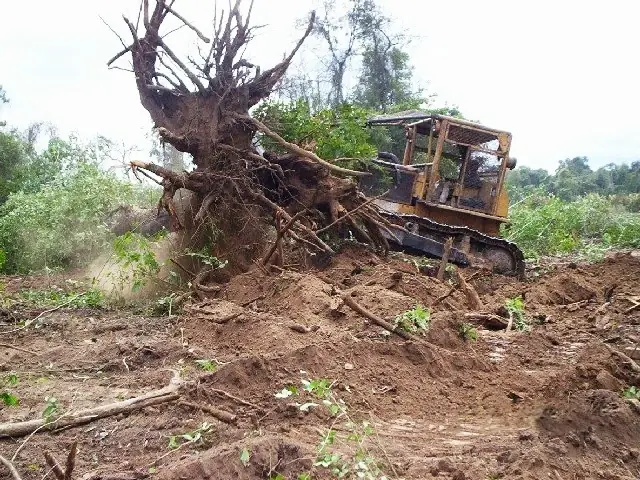 Naturaleza destructiva del ser humano