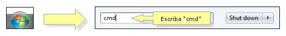 pasos