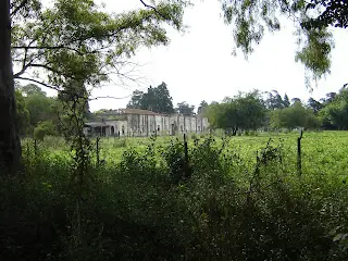 Raro: Bosque de Santa Catalina