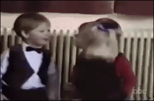 Gifs