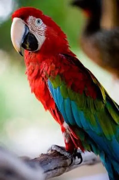 ecuador