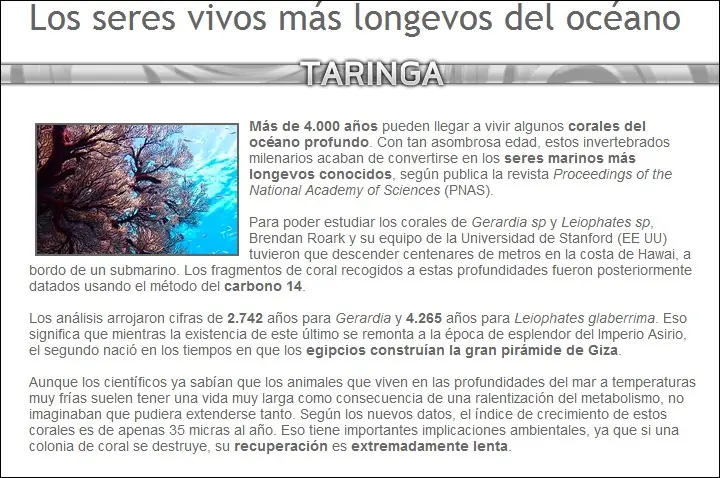 curiosidades