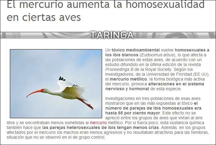 araas