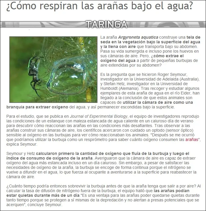 curiosidades