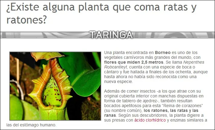curiosidades