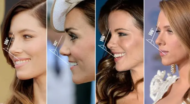 La nariz perfecta