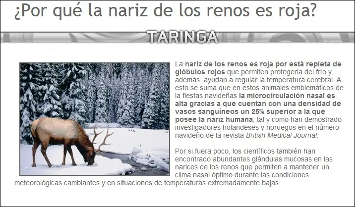 abejas