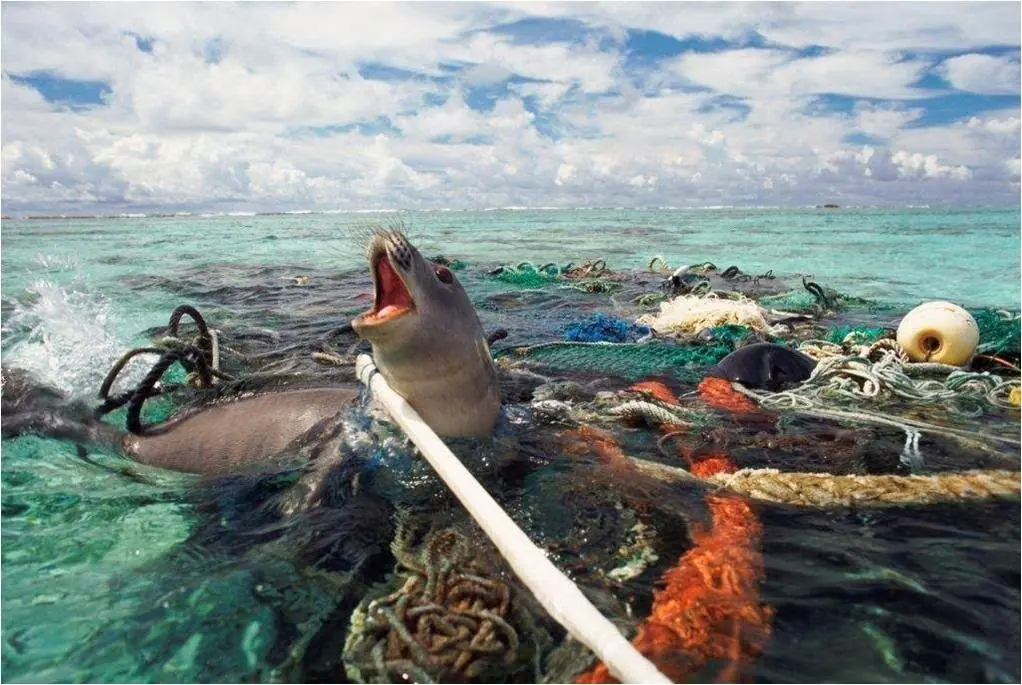 Biodiversidad