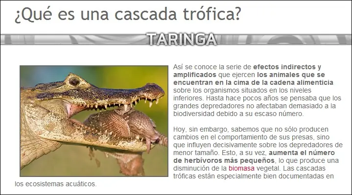 ecologa