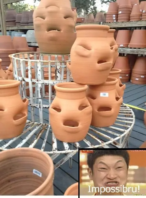 reir