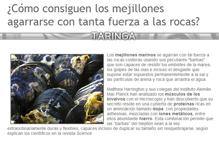 Preguntas y Respuestas: Naturaleza.