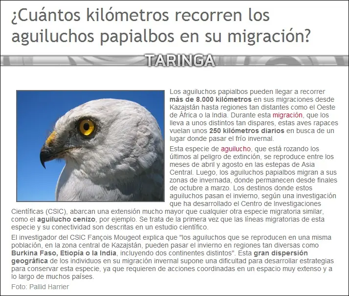 curiosidades