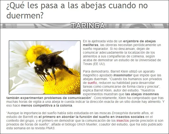 plantas carnivoras