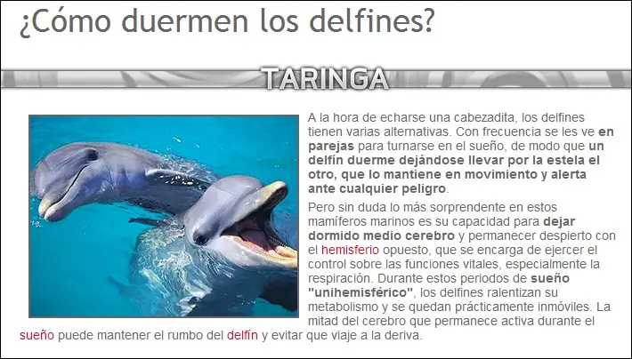 curiosidades