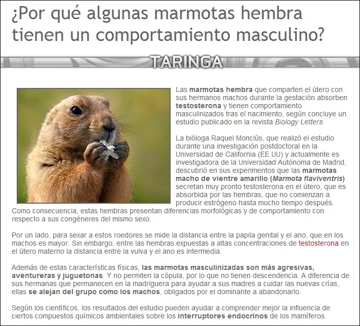 curiosidades