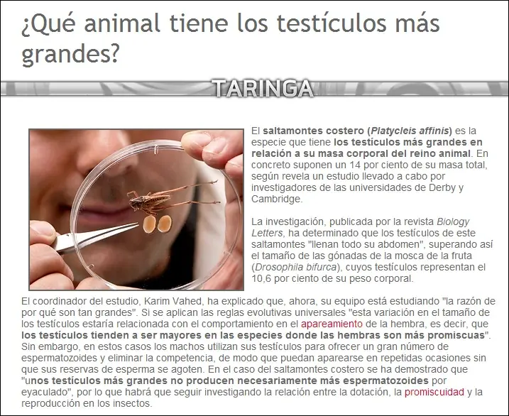 araas