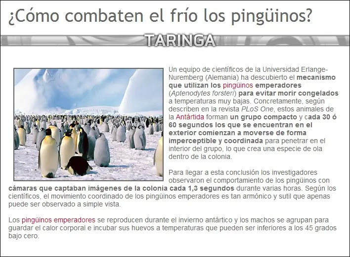 curiosidades