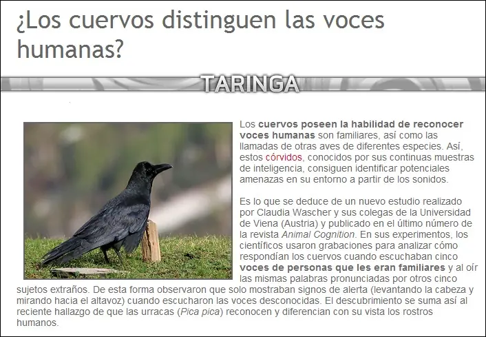 ecologa