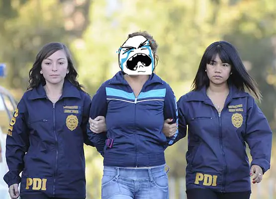 pdi