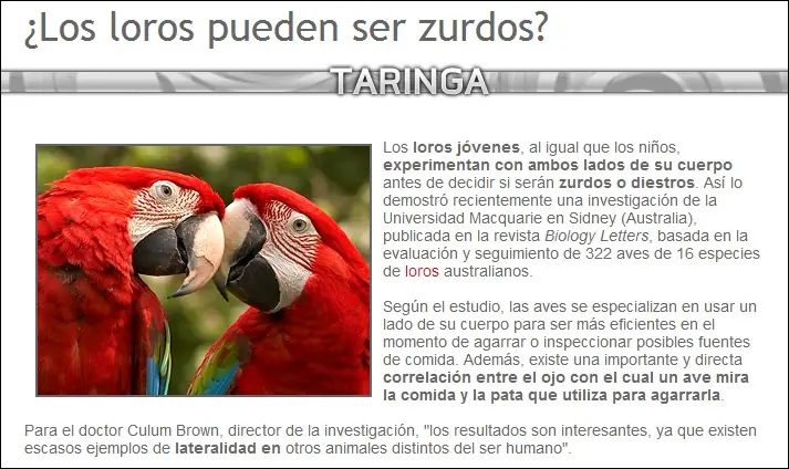 Preguntas y Respuestas: Naturaleza.