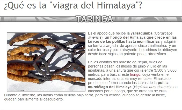 plantas carnivoras