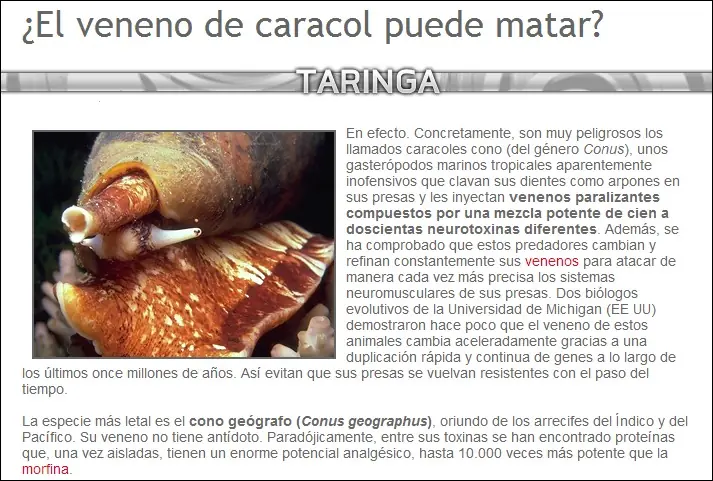 araas