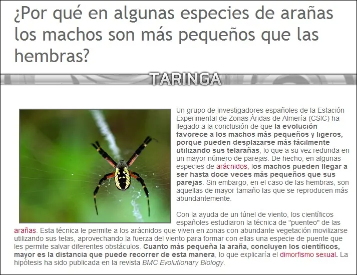 mariposas