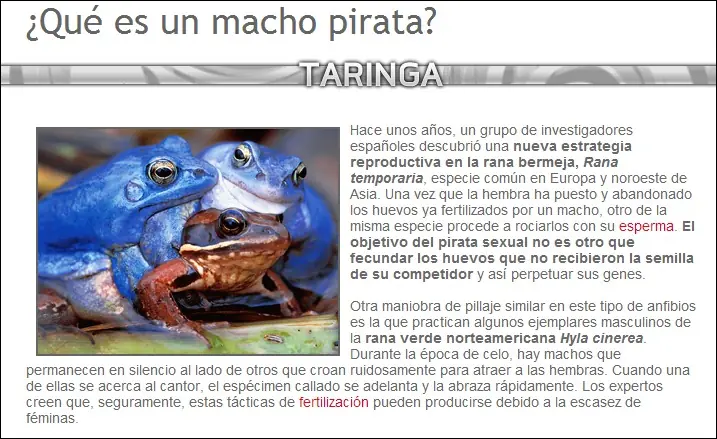ecologa
