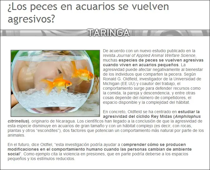 curiosidades