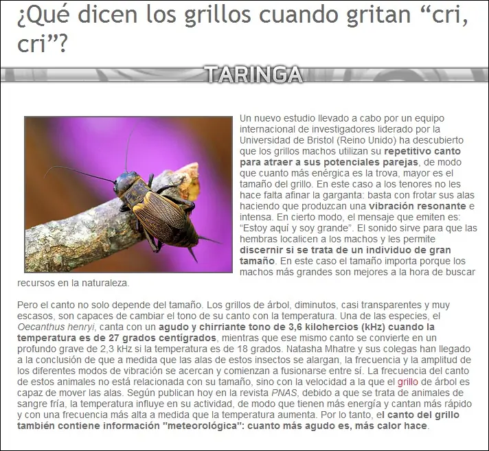 mosca escorpin