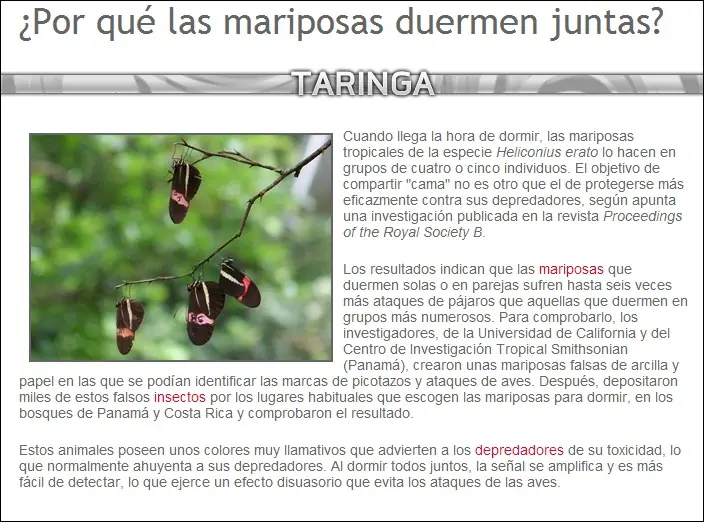 mosca escorpin