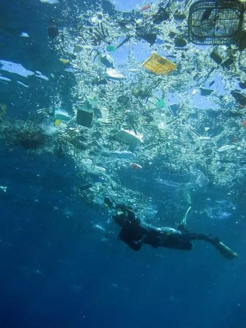 ecosistemas