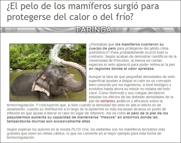 ecologa