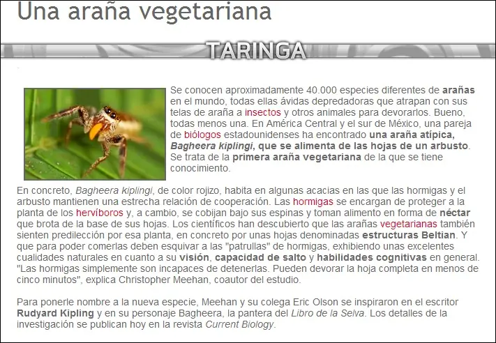 abejas