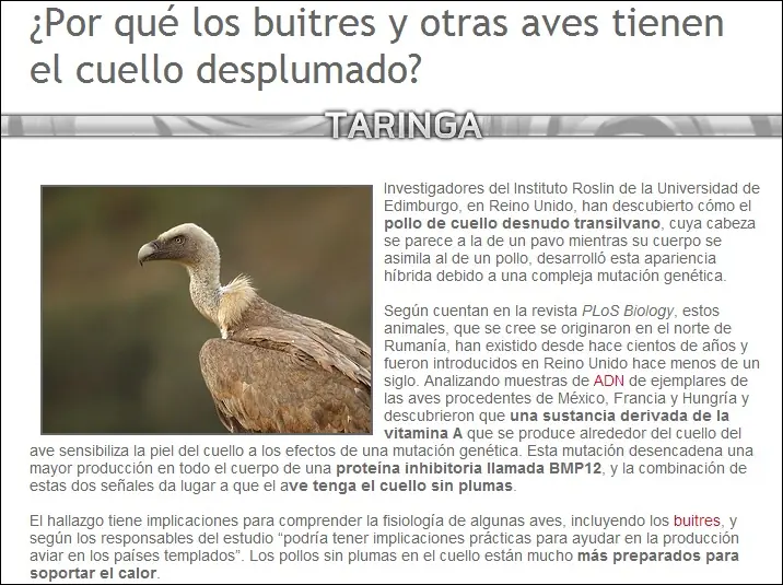plantas carnivoras