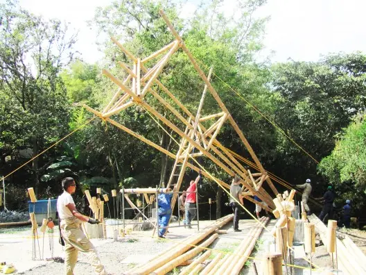 ecologia
