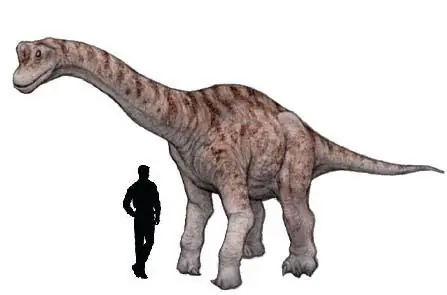 dinosaurio