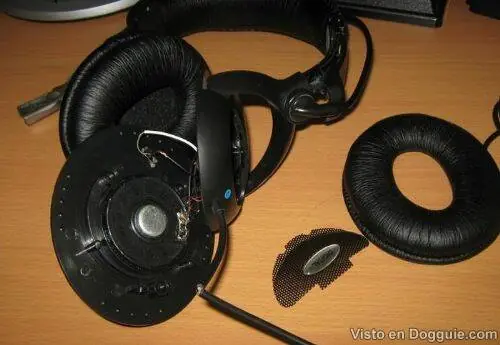 audifonos