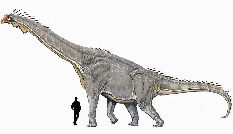 sauropodo