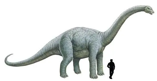 braquiosaurio